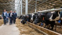 Развитие сельскохозяйственных предприятий на о. Сахалин — новость рынка
